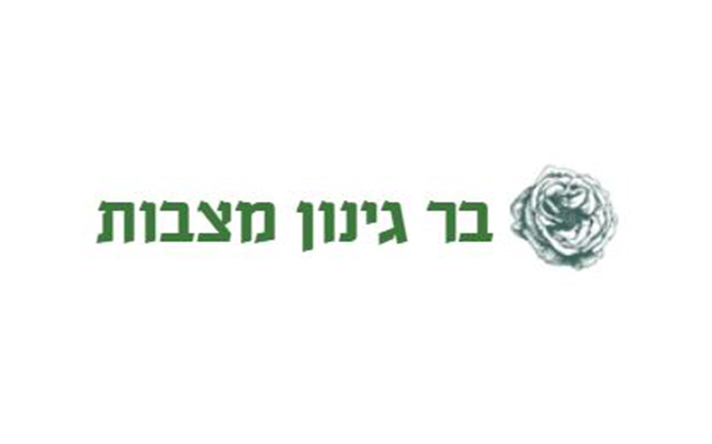 בר-גינון